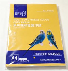 A4 70gsm Bright Yellow Copy Paper, 500 Sheets for Office Use