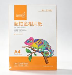 A4 210gsm Super Platinum Waterproof Photo Paper