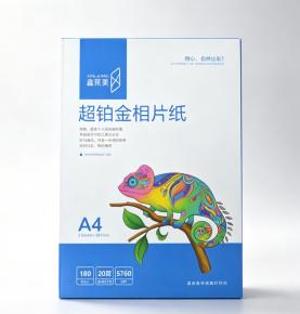A4 180gsm Super Platinum Waterproof Photo Paper